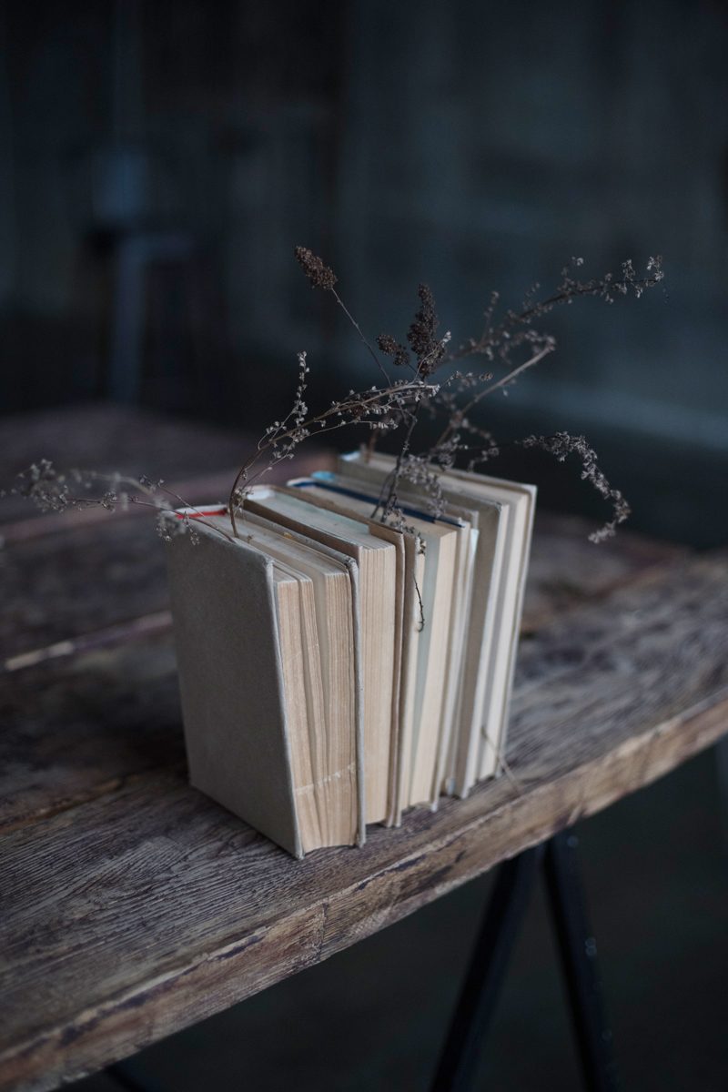 Стопка старых книг и сухая ветка на столе